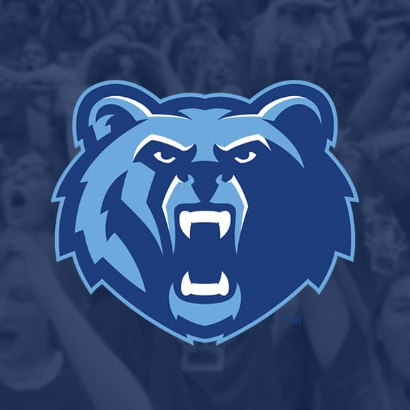 <p>A strong, powerful mascot is essential when building a brand-new school. It becomes a symbol that the entire community can rally around. We partner with your key stakeholders to develop a distinctive brand identity that captures the spirit of your school from day one, creating a lasting impression for years to come.</p>